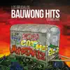 Los Brudalos - Bauwong Hits, Vol. 1